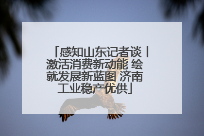 感知山东记者谈丨激活消费新动能 绘就发展新蓝图 济南工业稳产优供