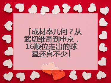 成材率几何？从武切维奇到申京，16顺位走出的球星还真不少