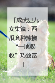 成武县九女集镇：西瓜套种辣椒 “一地双收”巧致富