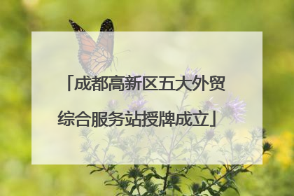 成都高新区五大外贸综合服务站授牌成立
