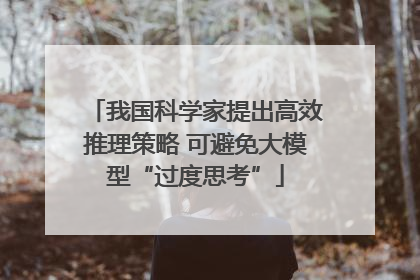 我国科学家提出高效推理策略 可避免大模型“过度思考”