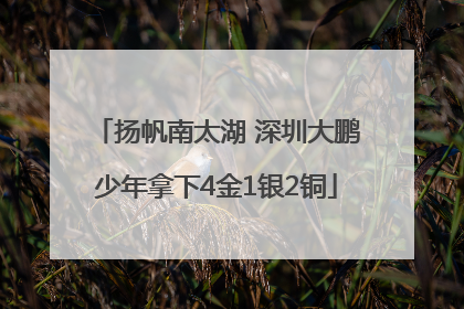 扬帆南太湖 深圳大鹏少年拿下4金1银2铜