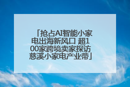 抢占AI智能小家电出海新风口 超100家跨境卖家探访慈溪小家电产业带
