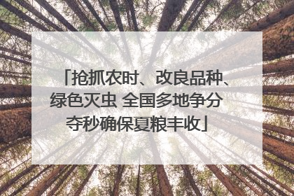 抢抓农时、改良品种、绿色灭虫 全国多地争分夺秒确保夏粮丰收