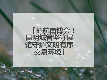 护航南博会！昆明城管坚守展馆守护文明有序交易环境