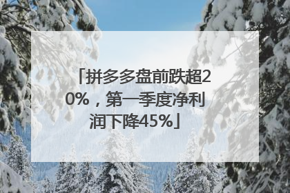 拼多多盘前跌超20%，第一季度净利润下降45%