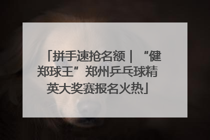 拼手速抢名额｜“健郑球王”郑州乒乓球精英大奖赛报名火热