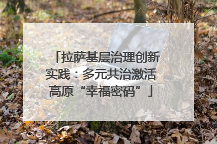 拉萨基层治理创新实践：多元共治激活高原“幸福密码”