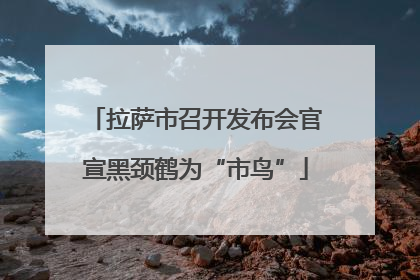 拉萨市召开发布会官宣黑颈鹤为“市鸟”
