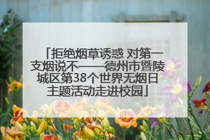 拒绝烟草诱惑 对第一支烟说不——德州市暨陵城区第38个世界无烟日主题活动走进校园