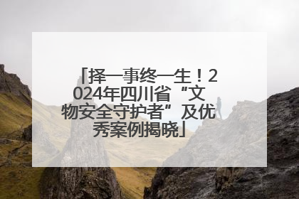 择一事终一生！2024年四川省“文物安全守护者”及优秀案例揭晓