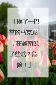 挨了一巴掌的马克龙，在越南说了些啥？危险！