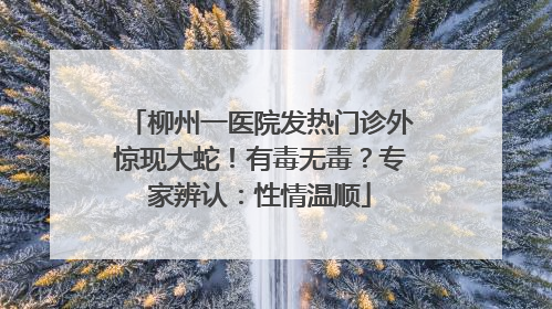 柳州一医院发热门诊外惊现大蛇！有毒无毒？专家辨认：性情温顺