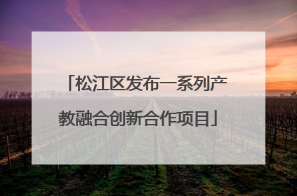 松江区发布一系列产教融合创新合作项目