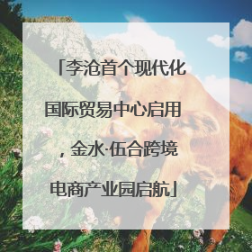李沧首个现代化国际贸易中心启用，金水·伍合跨境电商产业园启航