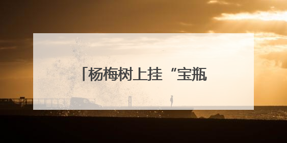 杨梅树上挂“宝瓶” 科技助力定海晚稻杨梅走出海岛