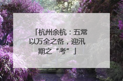杭州余杭：五常以万全之备，迎汛期之“考”