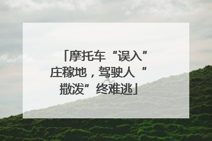 摩托车“误入”庄稼地，驾驶人“撒泼”终难逃