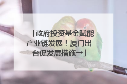 政府投资基金赋能产业链发展！厦门出台促发展措施→