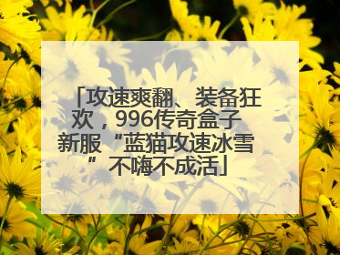 攻速爽翻、装备狂欢，996传奇盒子新服“蓝猫攻速冰雪”不嗨不成活