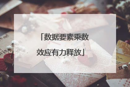 数据要素乘数效应有力释放