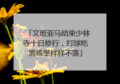 文班亚马结束少林寺十日修行，打球吃斋练拳样样不落