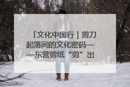 文化中国行｜剪刀起落间的文化密码——东营剪纸“剪”出非遗传承与现代生活的融合之道