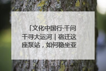文化中国行·千问千寻大运河｜宿迁这座泵站，如何稳坐亚洲第一宝座？