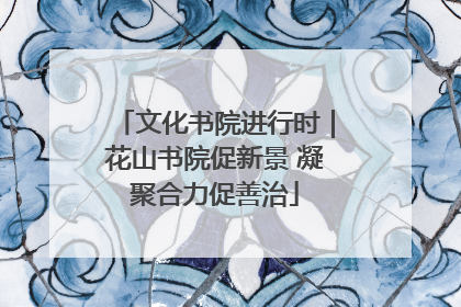 文化书院进行时｜花山书院促新景 凝聚合力促善治