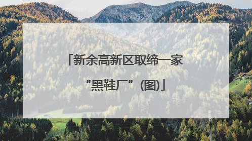 新余高新区取缔一家“黑鞋厂”(图)
