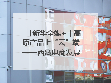 新华全媒+｜高原产品上“云”端——西藏电商发展一线观察