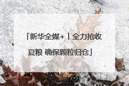 新华全媒+丨全力抢收夏粮 确保颗粒归仓