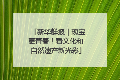 新华鲜报｜瑰宝更青春！看文化和自然遗产新光彩
