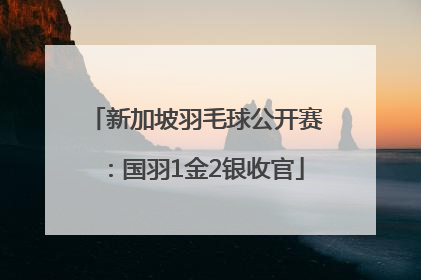 新加坡羽毛球公开赛：国羽1金2银收官