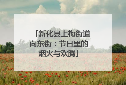 新化县上梅街道向东街：节日里的烟火与欢腾