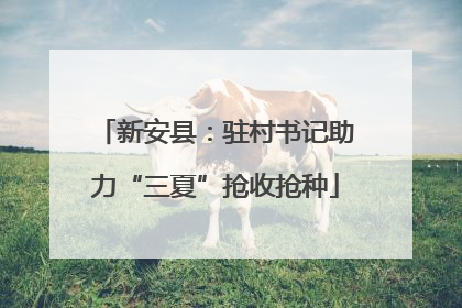 新安县：驻村书记助力“三夏”抢收抢种