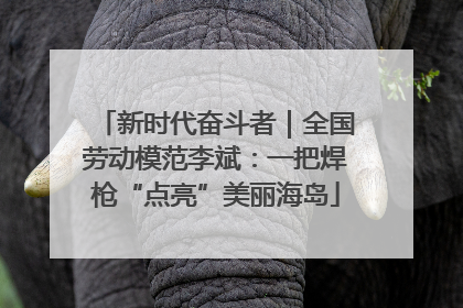 新时代奋斗者｜全国劳动模范李斌：一把焊枪“点亮”美丽海岛