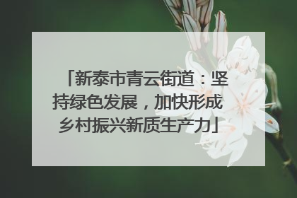 新泰市青云街道：坚持绿色发展，加快形成乡村振兴新质生产力