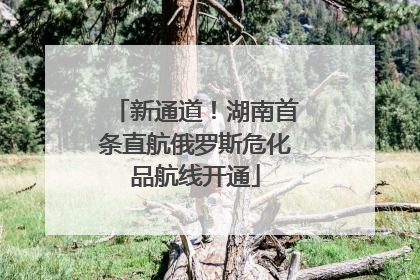 新通道！湖南首条直航俄罗斯危化品航线开通