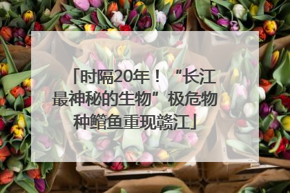 时隔20年！“长江最神秘的生物”极危物种鳤鱼重现赣江