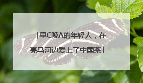 早C晚A的年轻人，在亮马河边爱上了中国茶