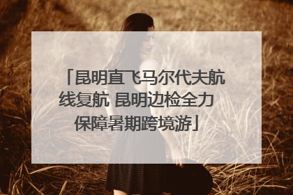 昆明直飞马尔代夫航线复航 昆明边检全力保障暑期跨境游