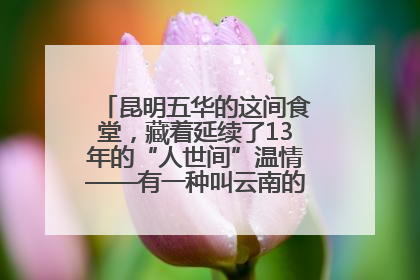 昆明五华的这间食堂，藏着延续了13年的“人世间”温情——有一种叫云南的生活之365天