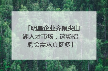 明星企业齐聚尖山湖人才市场，这场招聘会需求真挺多