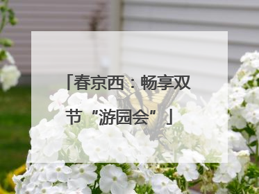 春京西：畅享双节“游园会”