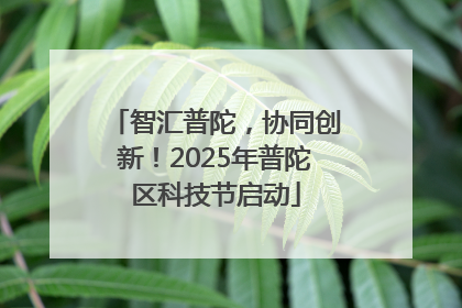 智汇普陀，协同创新！2025年普陀区科技节启动