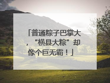 普通粽子巴掌大，“横县大粽”却像个巨无霸！