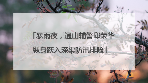 暴雨夜，通山辅警邱荣华纵身跃入深渠防汛排险