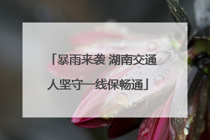 暴雨来袭 湖南交通人坚守一线保畅通