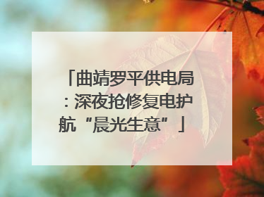 曲靖罗平供电局：深夜抢修复电护航“晨光生意”